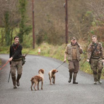 Irish Rough Shooting, the Next Generation of Young Guns