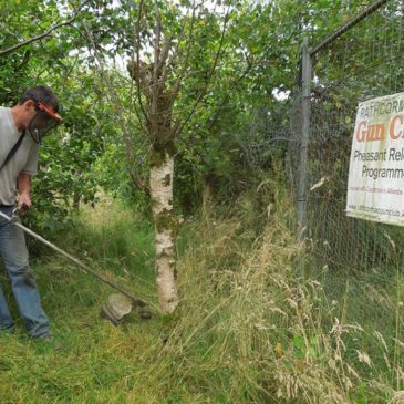 Pheasant Release Program